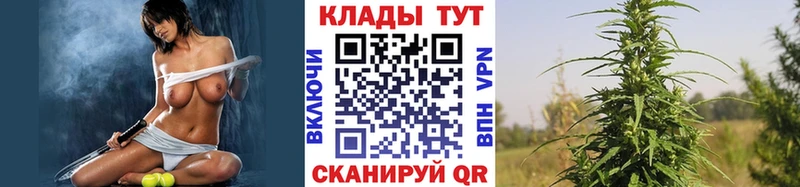 Где купить Махачкала Кокаин  АМФЕТАМИН  ГЕРОИН  Канабис  Мефедрон  СОЛЬ  ГАШИШ 
