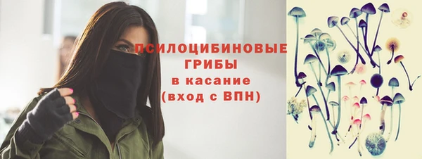 тгк Мегион
