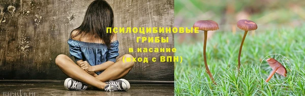мяу мяу мука Медвежьегорск