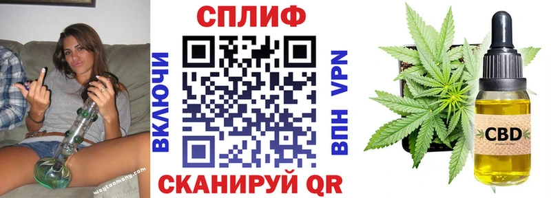 Каннабис сатива  Махачкала 